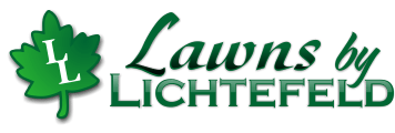 Landscaper Website Design Services for Small Businesses in Lexington KY